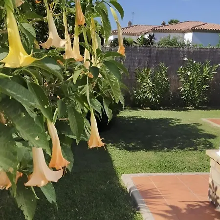 Villa Chalet Con Piscina Privada Para Familias En Conil, Cerca De Playas Y Atracciones - Es-180-283